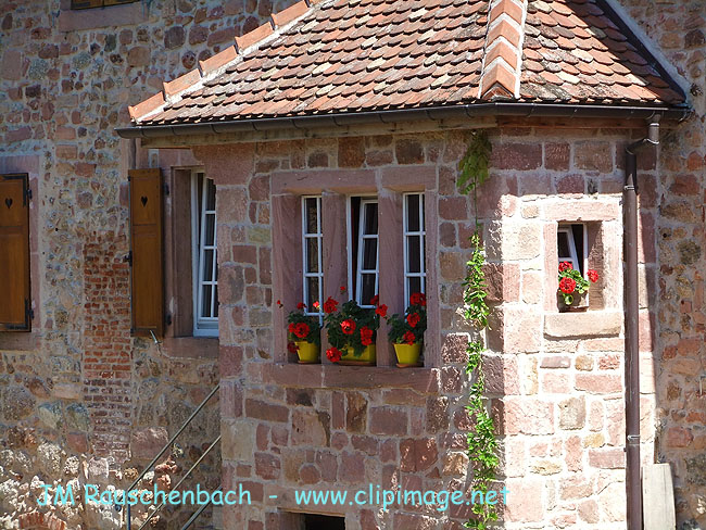 maison-en-gre-des-vosges.alsace.jpg