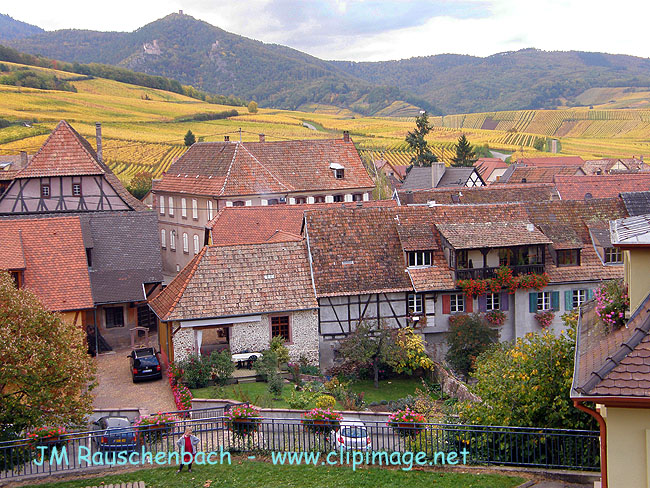 unavihr,vignoble et montagne.alsace.jpg